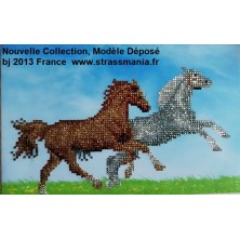 2 chevaux TOUT STRASS BRILLANTS sur cadre bois 20 x 30 cm 